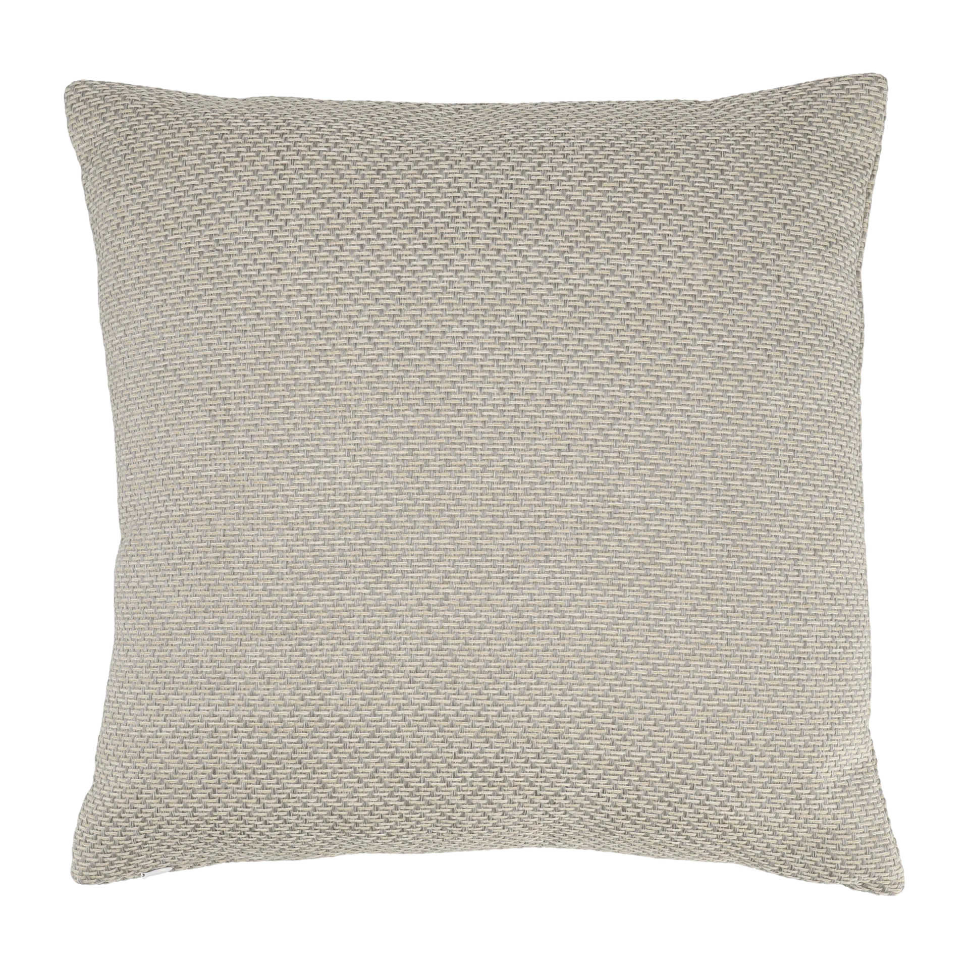 1898 Coussin Asaryd cm Beige