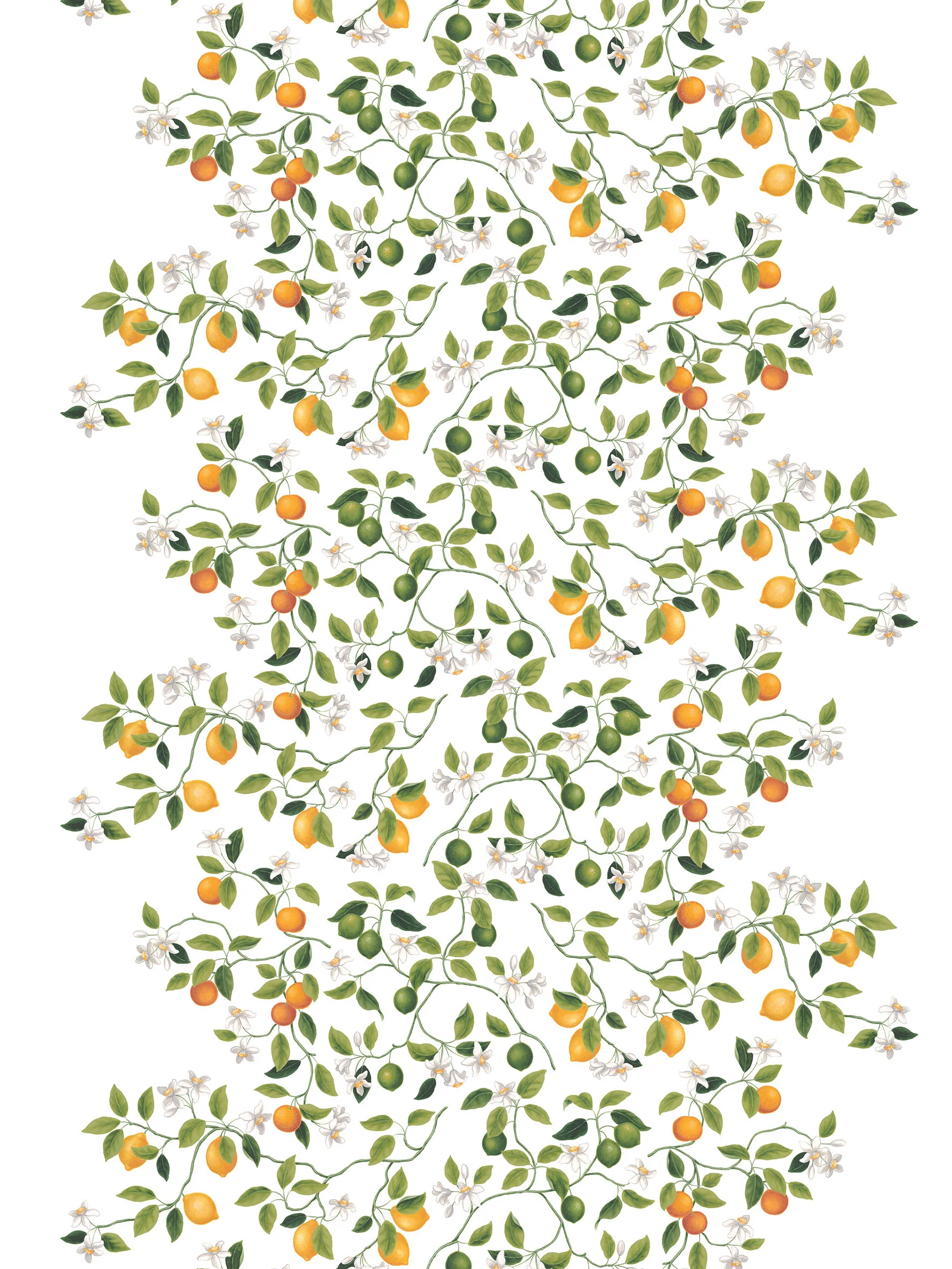 Arvidssons Textil Toile cirée Citrusträdet Vert-vert