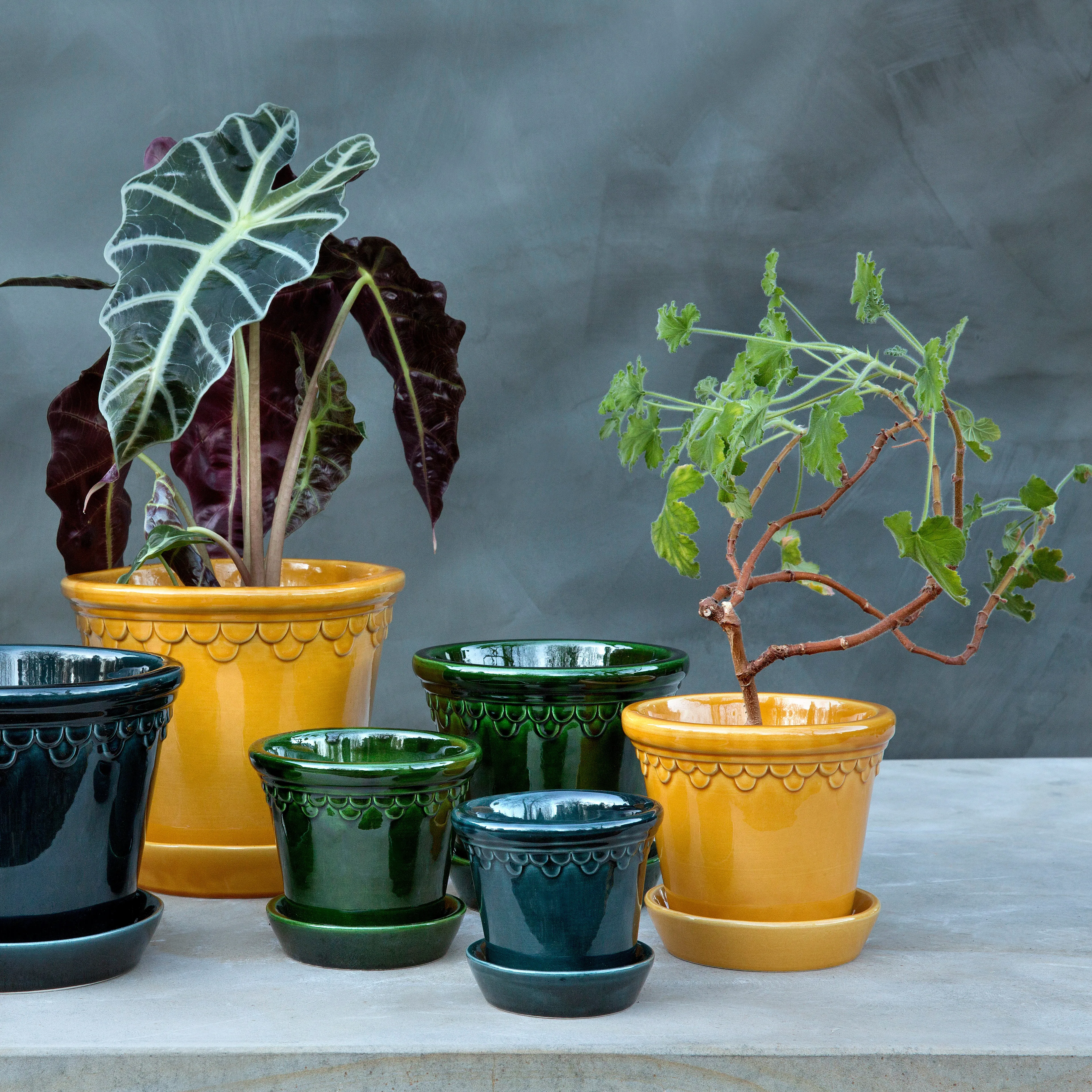 Bergs Potter | バーグスポッター からのCopenhagen 植木鉢 グレーズ