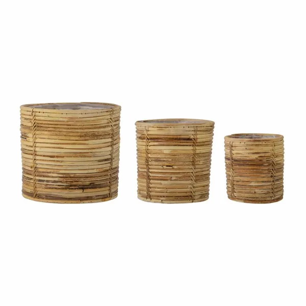 Linoa korg 3-pack