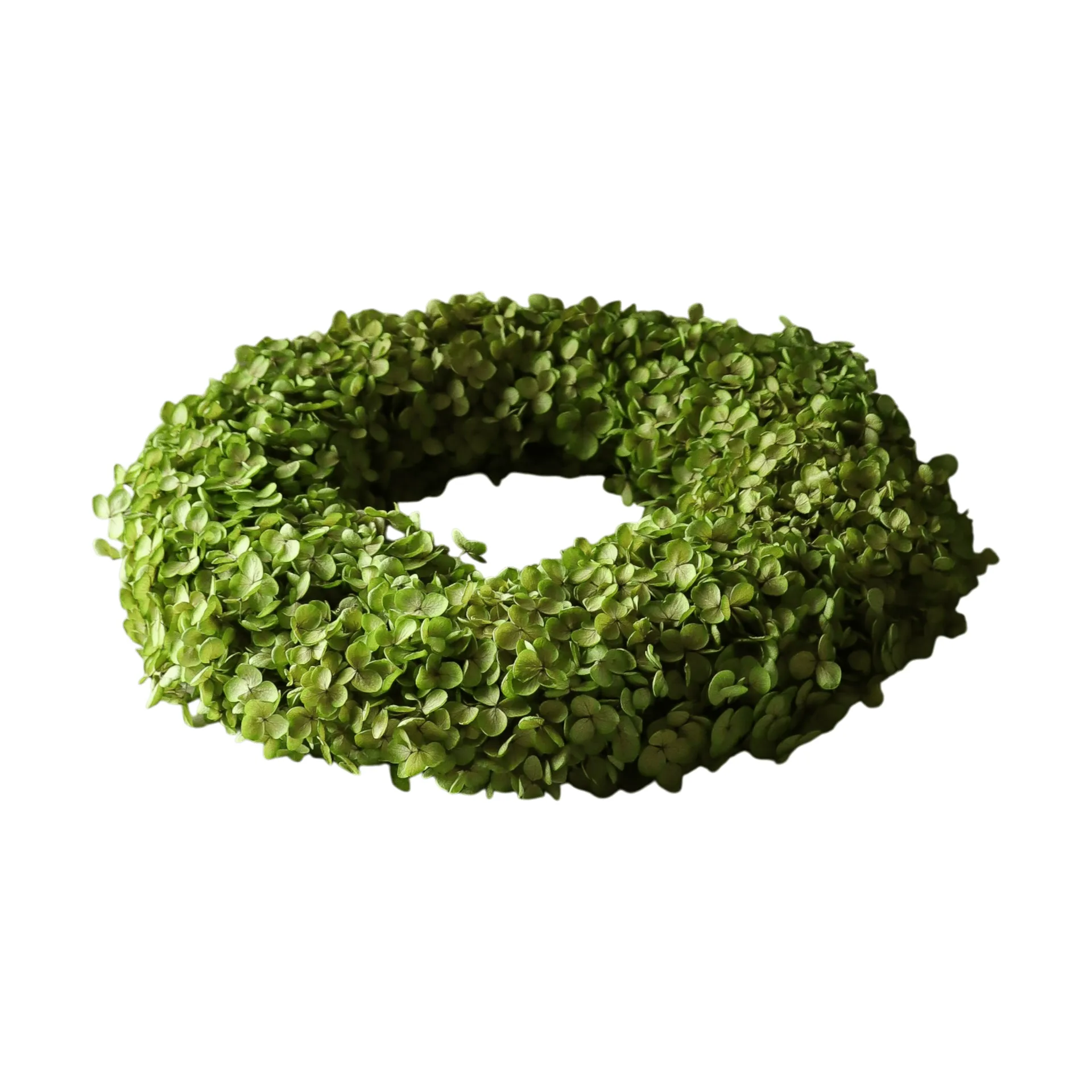 Botané Hortensia Wreath kukkakranssi Vaaleanvihreä, Ø40 cm