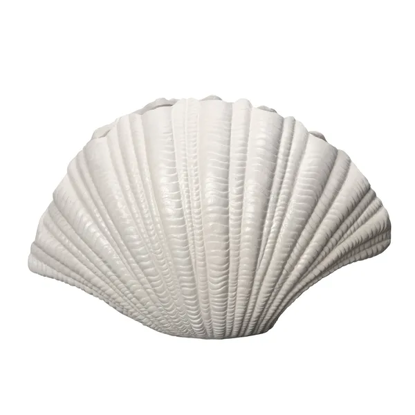 Shell vas