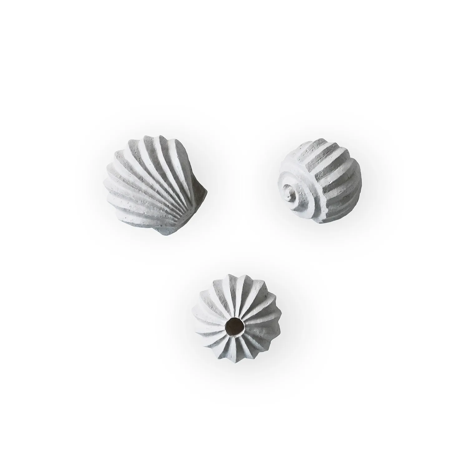 Cooee Design Sculpture The Genesis Shells Lot de 3 Limestone