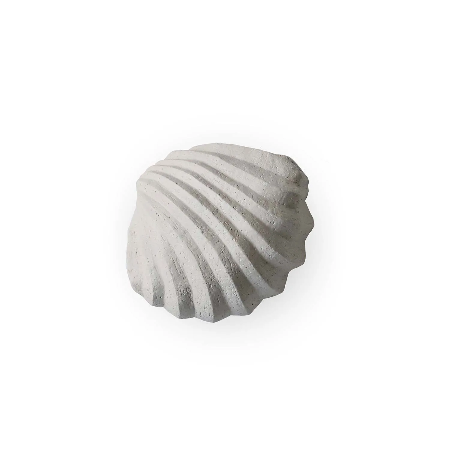 Cooee Design The Clam Shell skulptur 13 cm Limestone billede