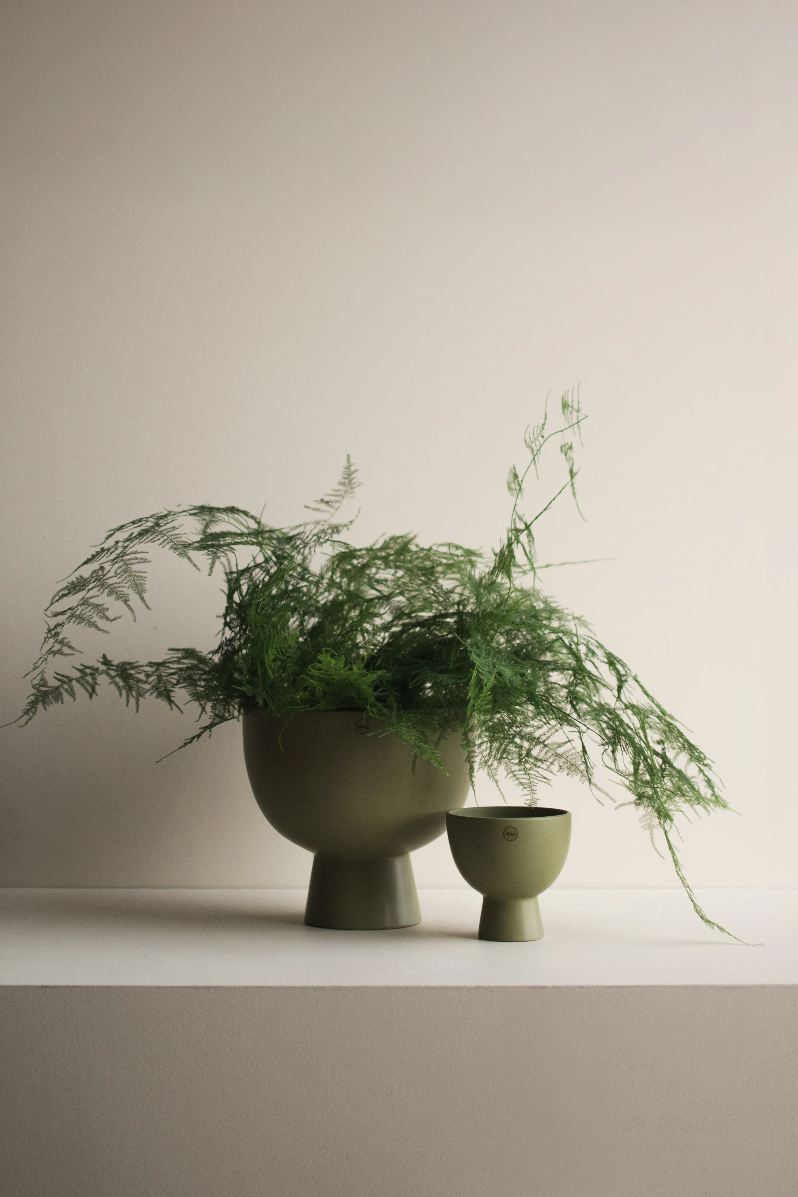 DBKD | ディービーケーディー からのフィギュア 植木鉢 - NordicNest.jp