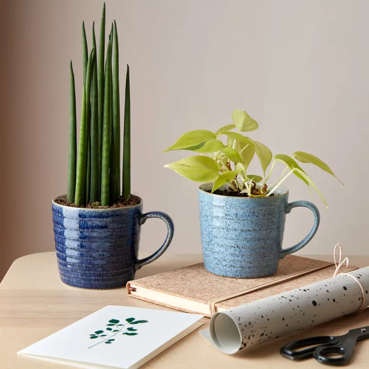 Studio Blue Tasse geriffelt 40cl