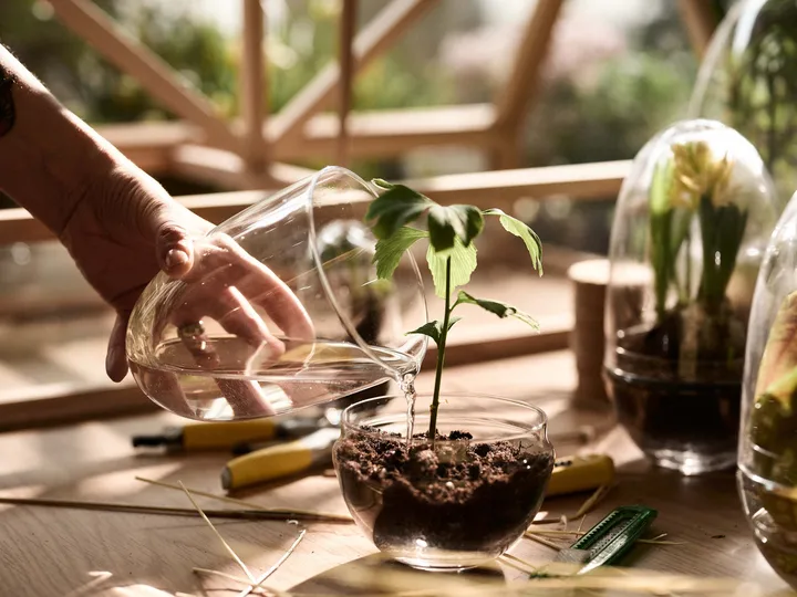 Grow greenhouse from Design House Stockholm - NordicNest.com