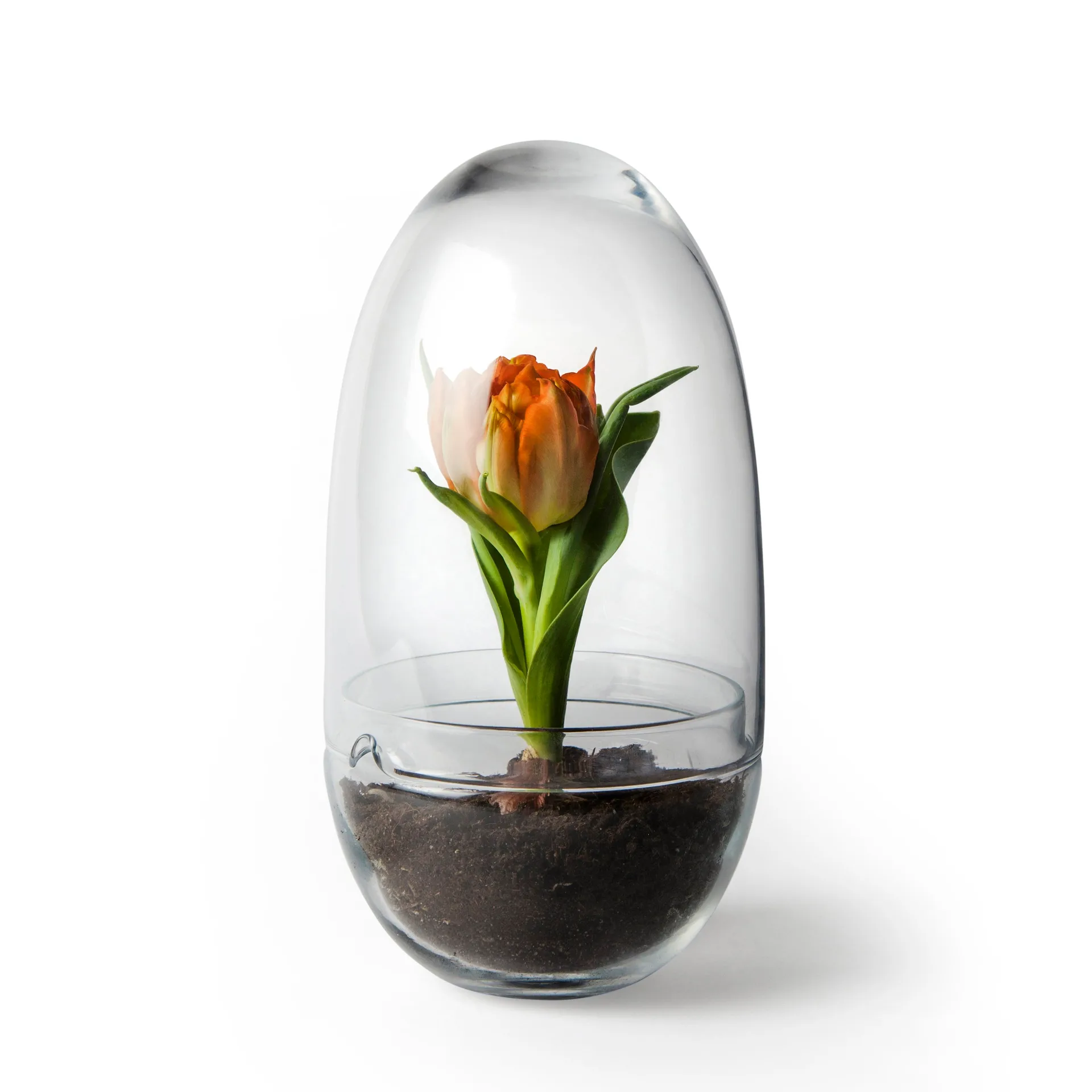 Design House Stockholm Serre Grow Moyen ø