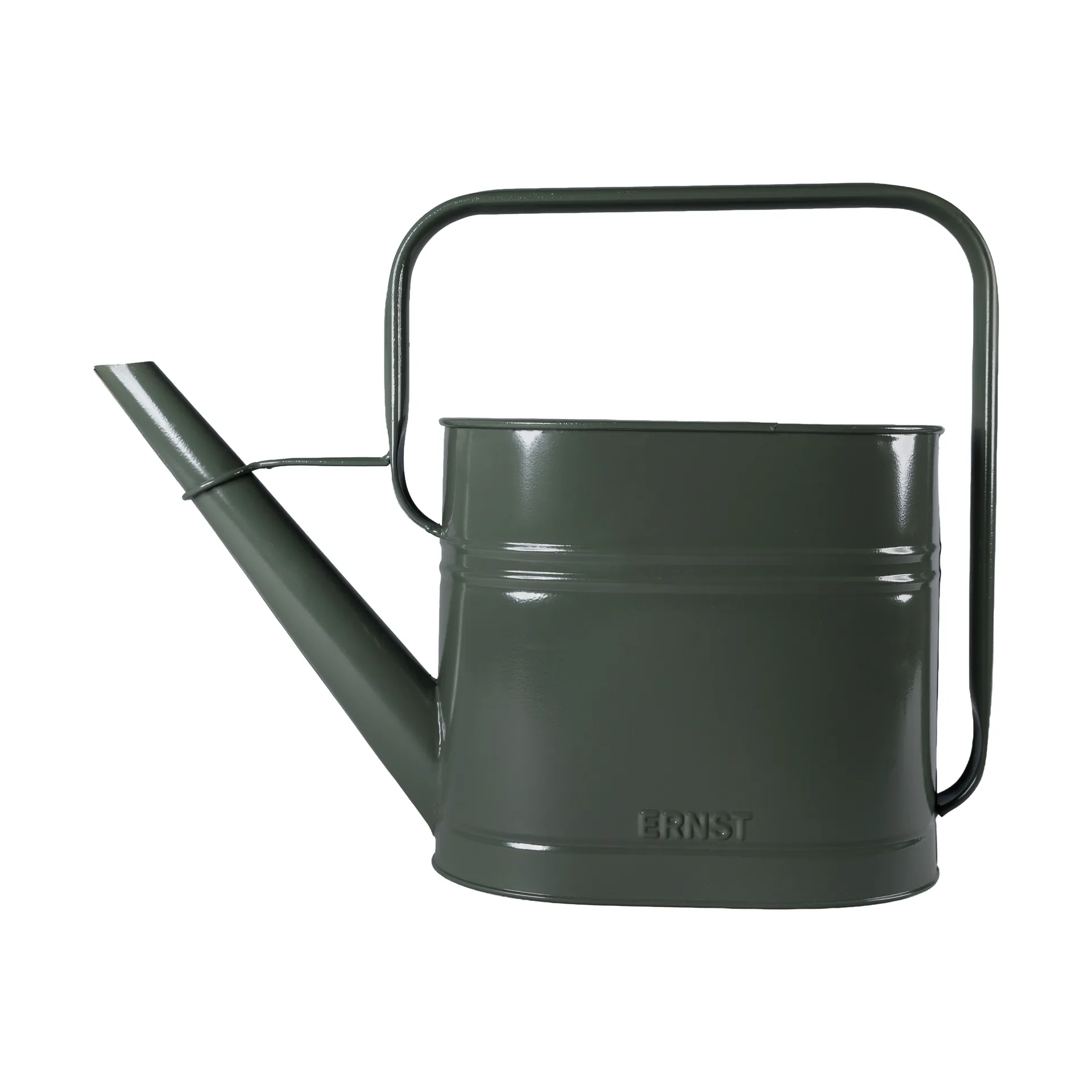 ERNST Ernst vandkande Salvie, 3 L