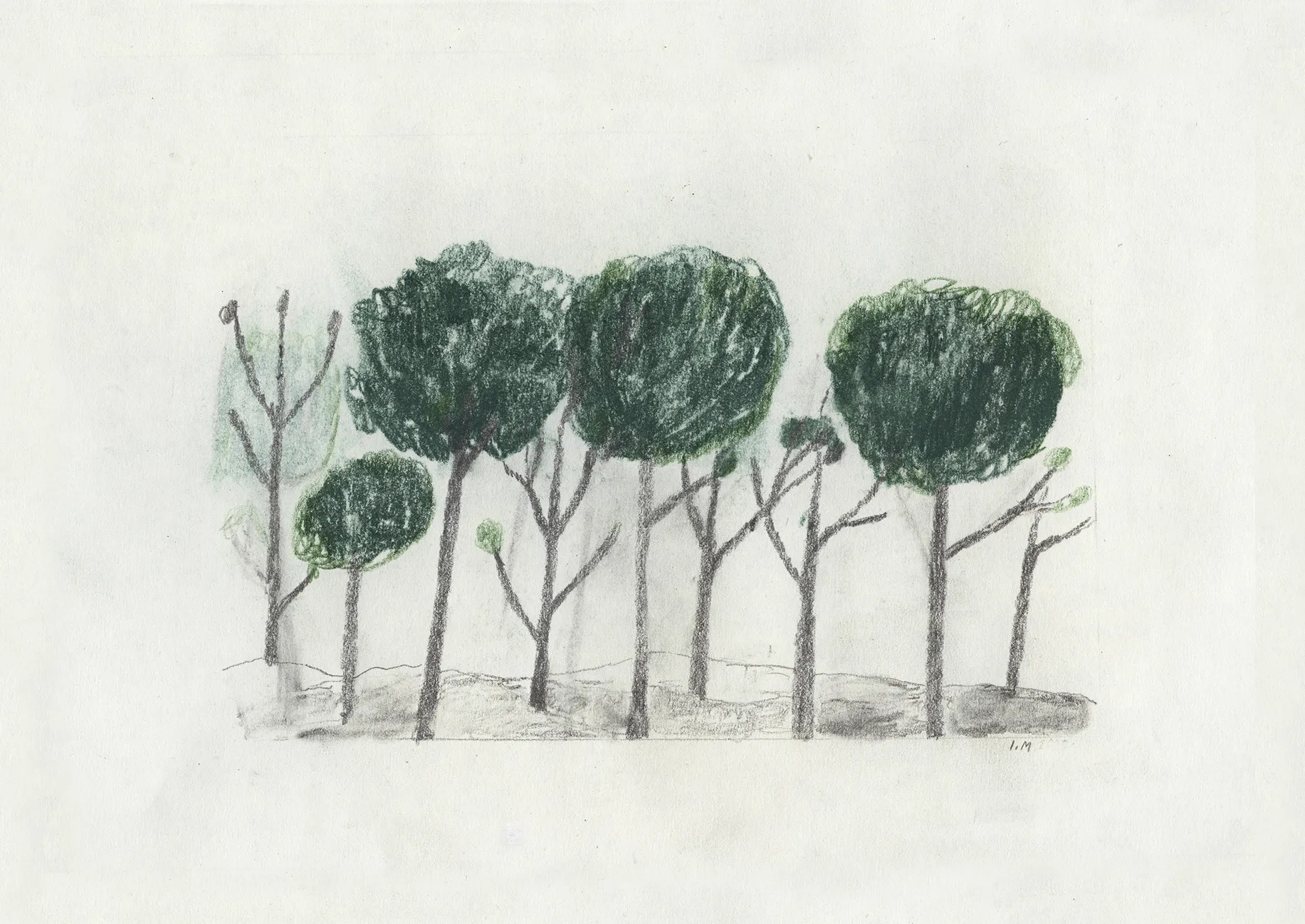 Fine Little Day Poster Trees cm Noir- off white