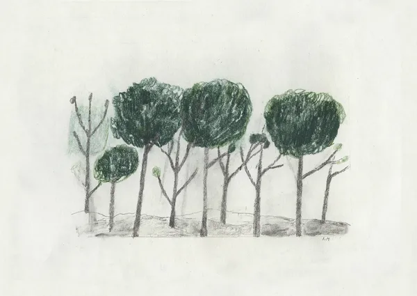Trees poster 50x70 cm, Svart- off
