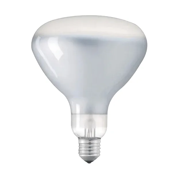Flos Ampoule LED R125 E27 2700K 1180 lm 12 W