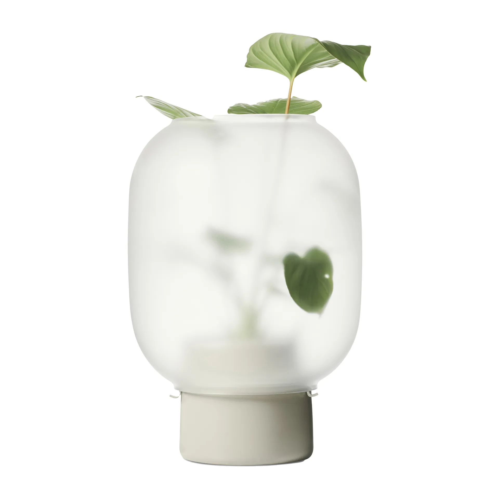 Gejst Pot en verre givré Nebl Ø Gris