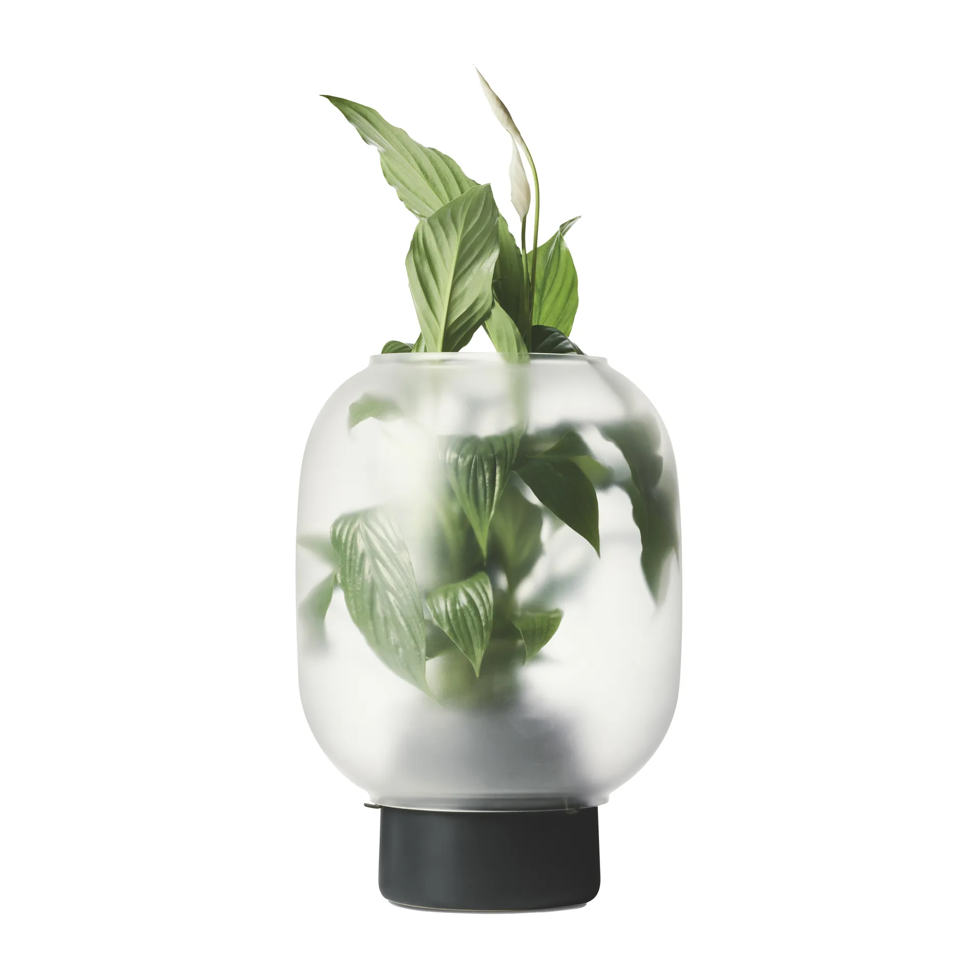 Gejst Pot en verre givré Nebl Ø Noir
