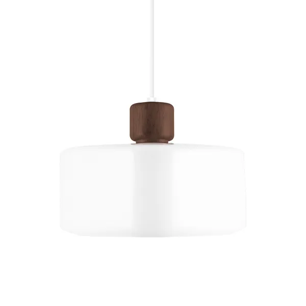 DOT 30 pendel