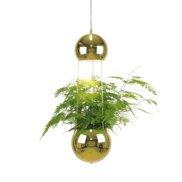 Planter taklampa och ampel, mässing