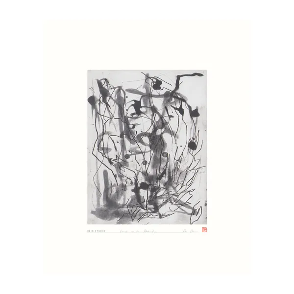 Forrest poster 40x50 cm, No. 01