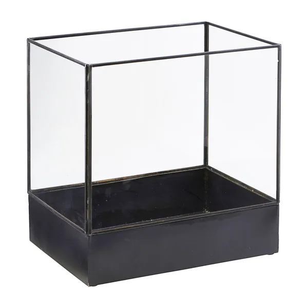 Plant displaylåda 21x30 cm