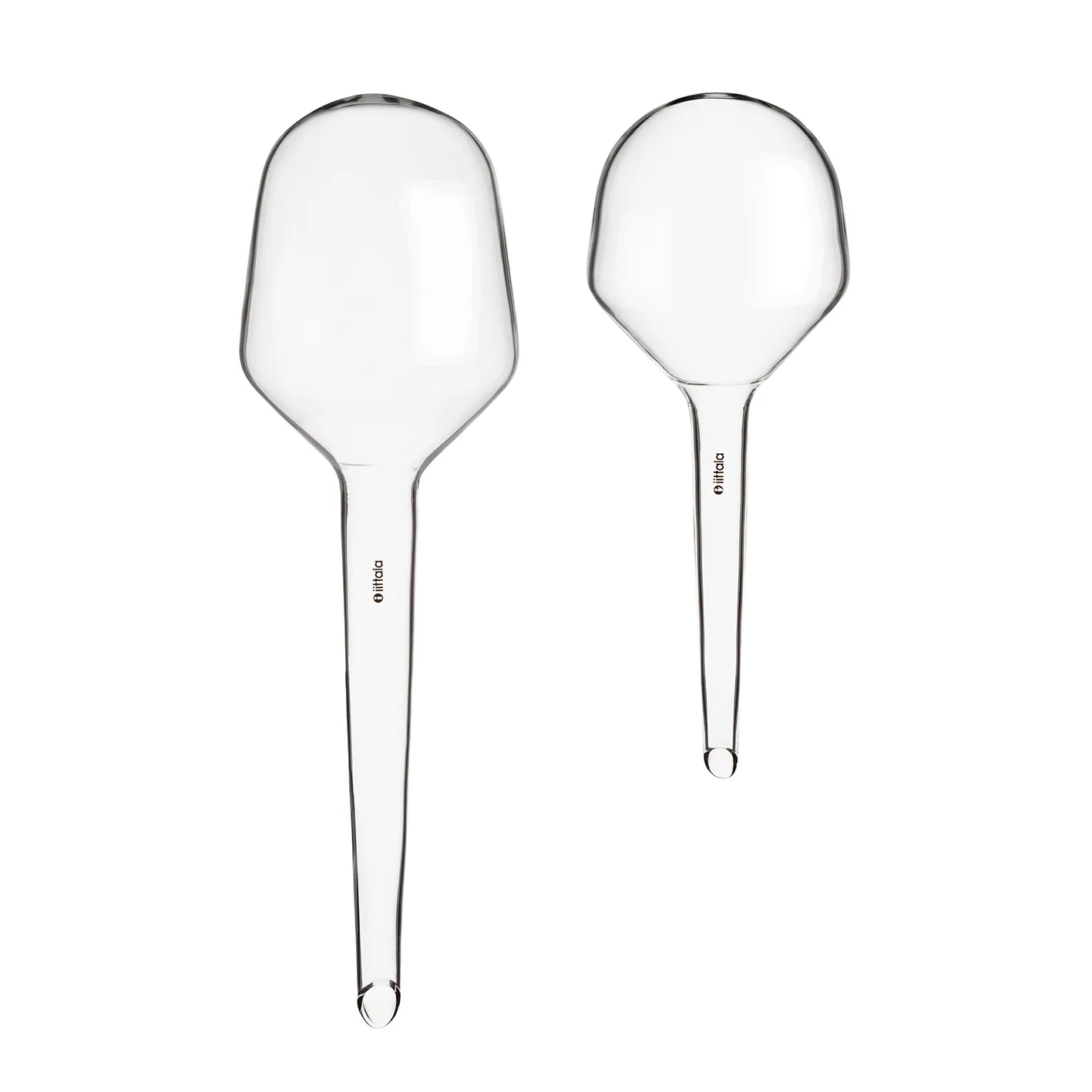 Iittala Pipette d'arrosage Iittala 2 Pièces Transparent