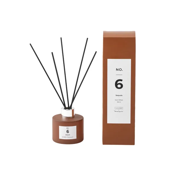 NO. 6 Sequoia doftpinnar, 100 ml