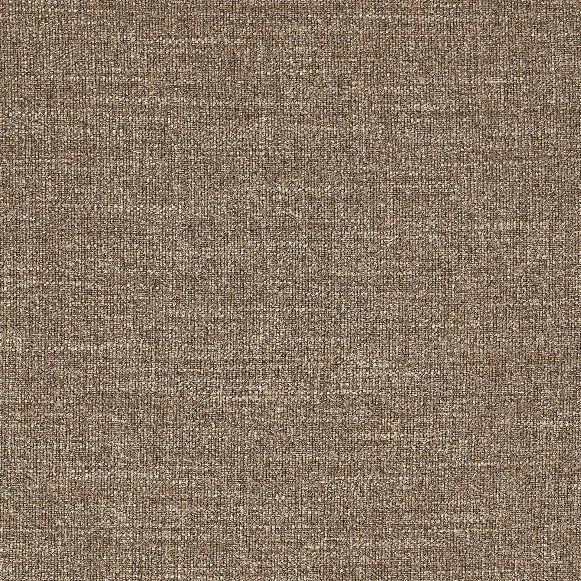 Material Samples Échantillon textile Same Mole 6674
