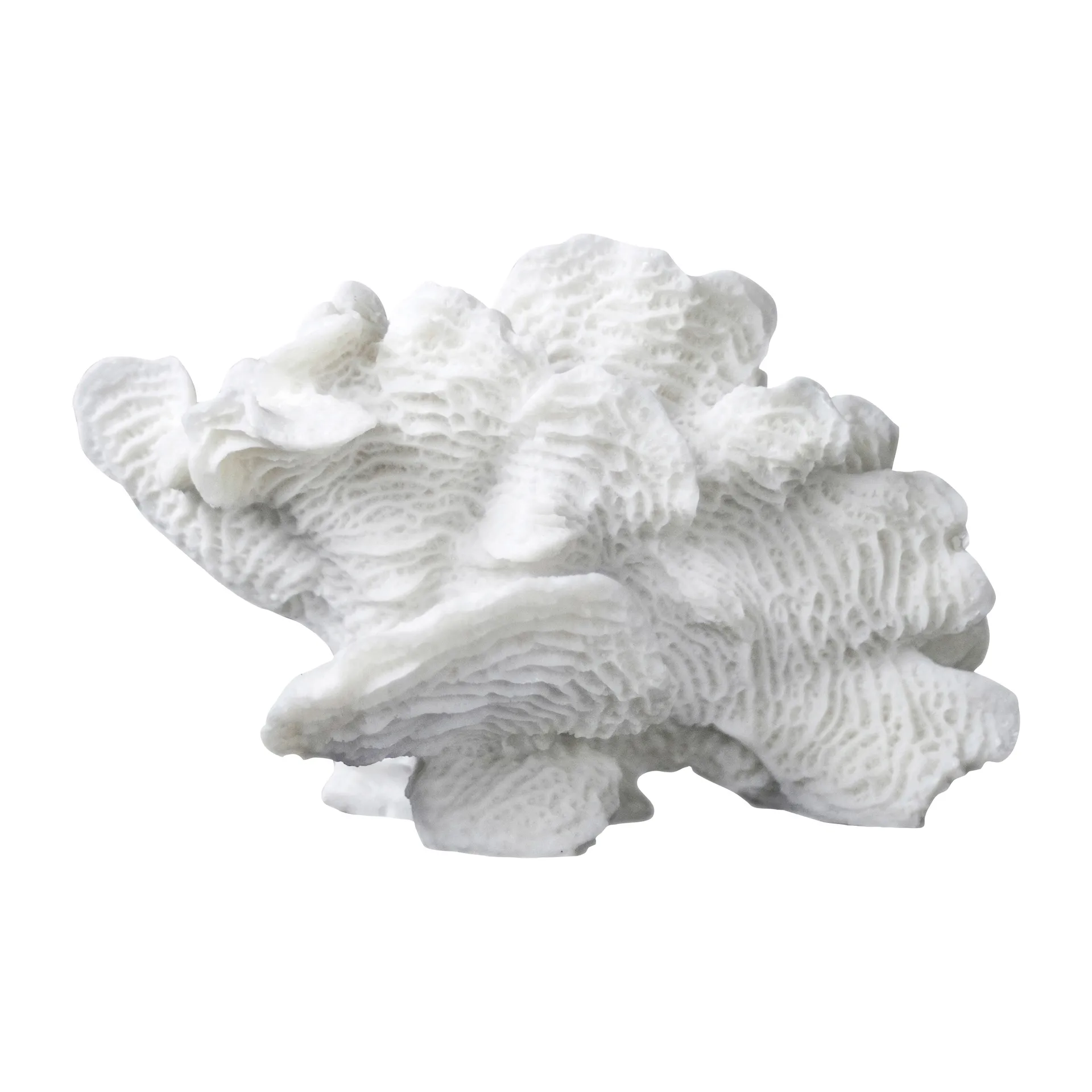 Mette Ditmer Coral fan White billede