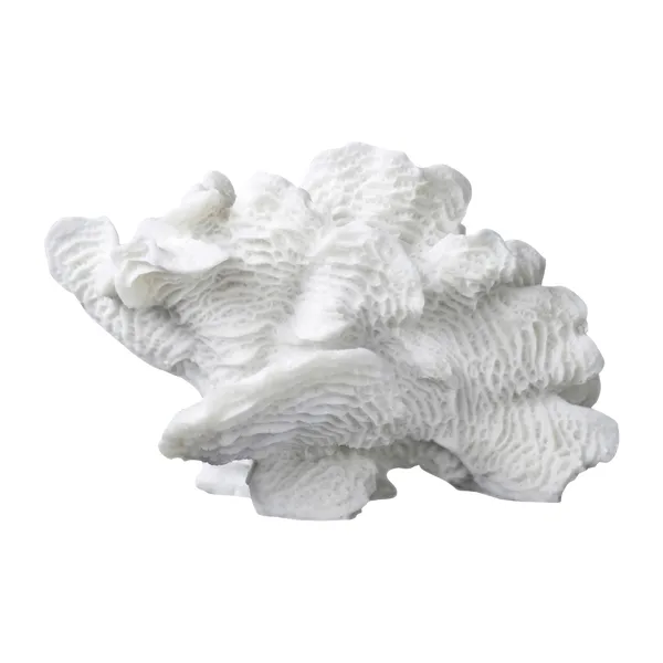 Coral fan