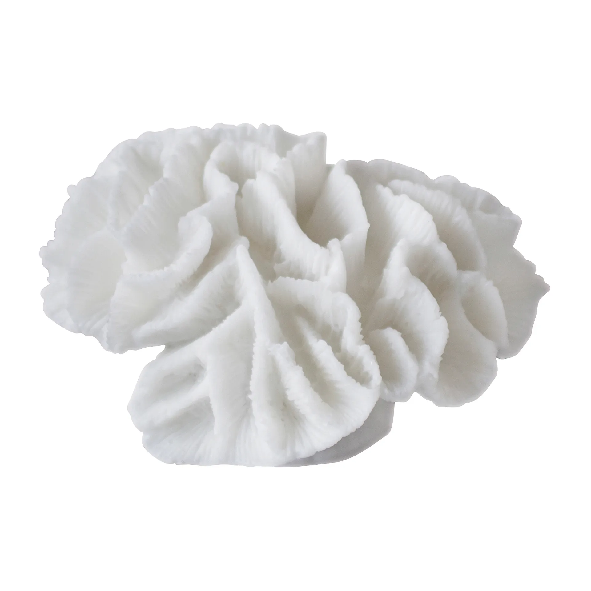 Mette Ditmer Coral gills White billede