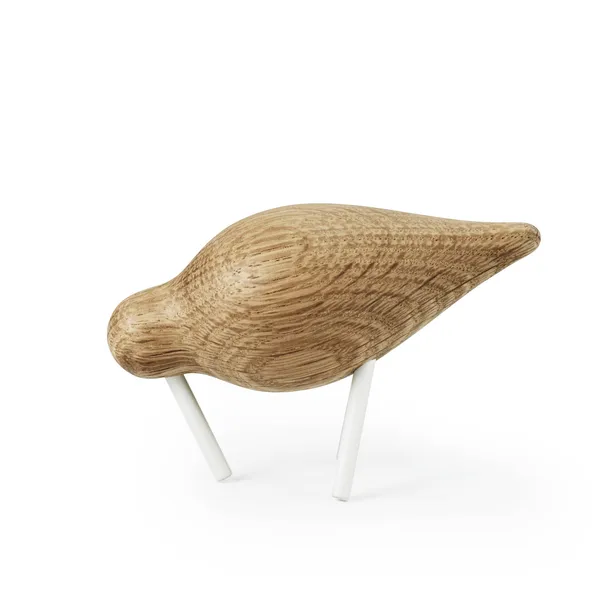 Shorebird ek-vit, liten