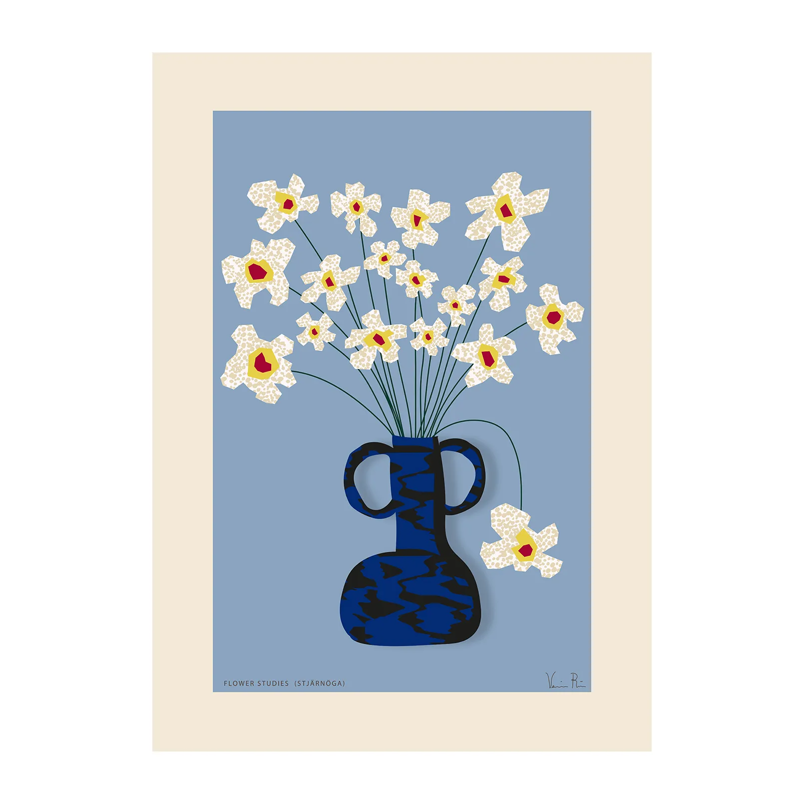 Paper Collective Poster Flower Studies 04 (Marguerite africaine) cm