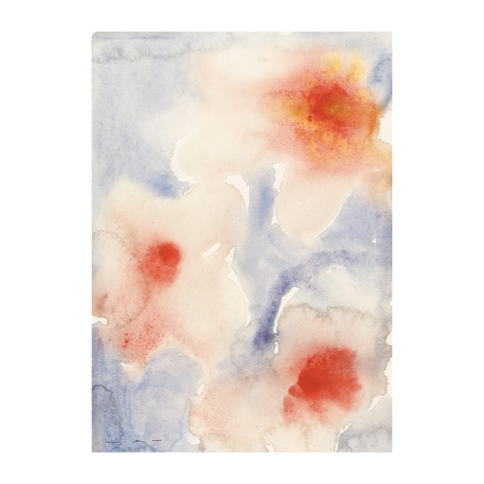 Paper Collective Poster Three Flowers cm