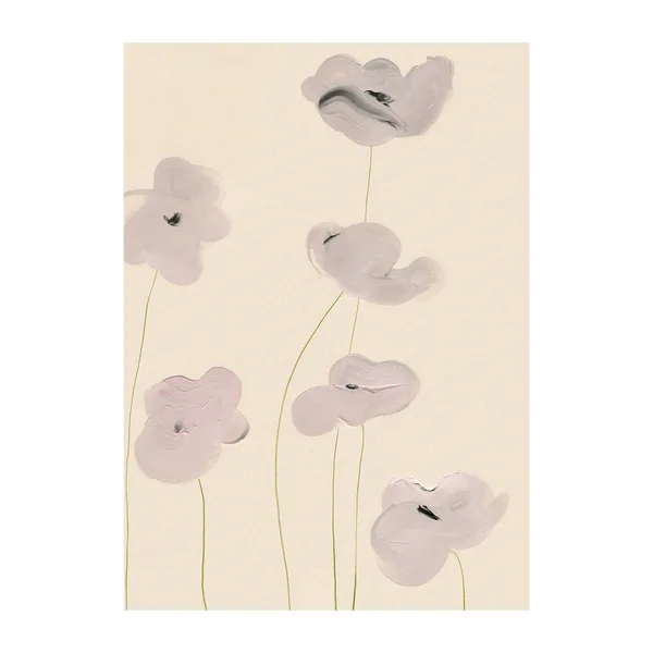 White Vallmo poster, 30x40 cm