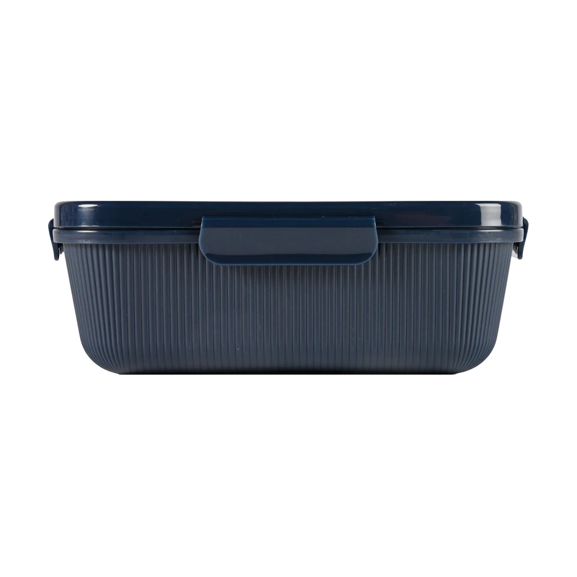 Sagaform Boîte à déjeuner Tina 1,1 L Bleu