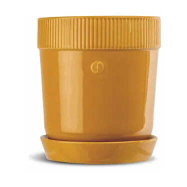 Sagaform Elise &ouml;rtkruka &Oslash;11 cm Gul