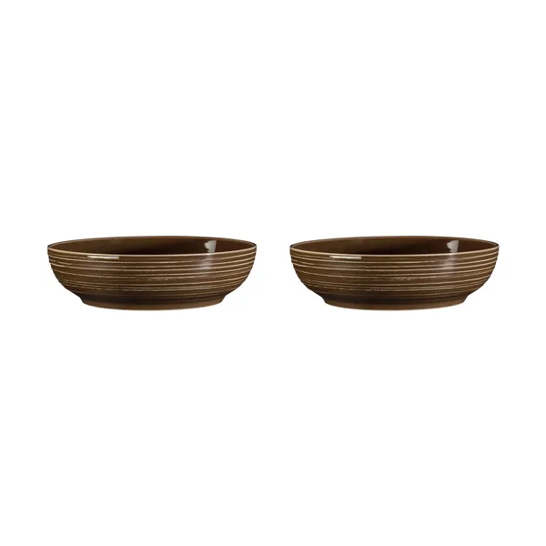 Terra skål Ø25,5 cm 2-pack, Earth