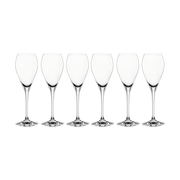 Party champagneglas 16 cl, 6-pack