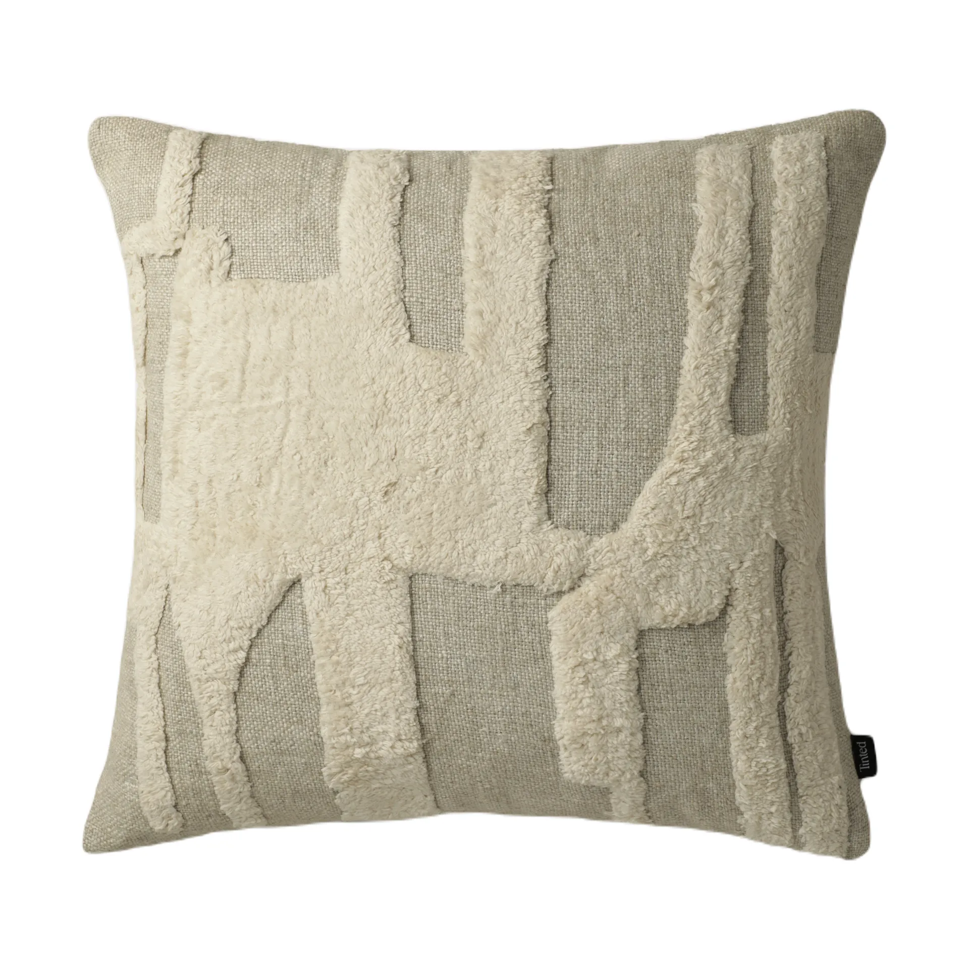 Tinted Coussin Eksand cm Offwhite