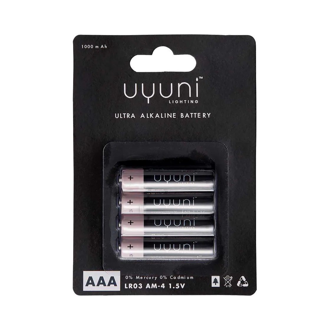 Uyuni Lighting Batterie Uyuni Lot de 4 AAA