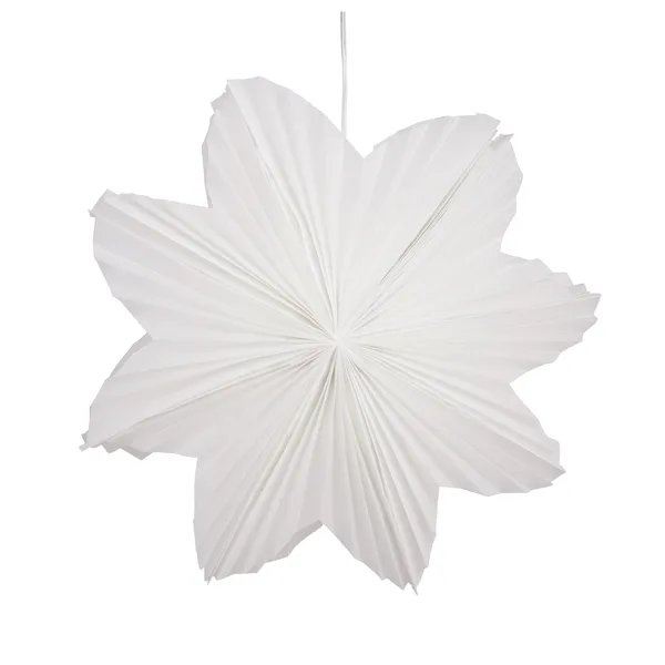 Daisy adventsstjärna Ø60 cm