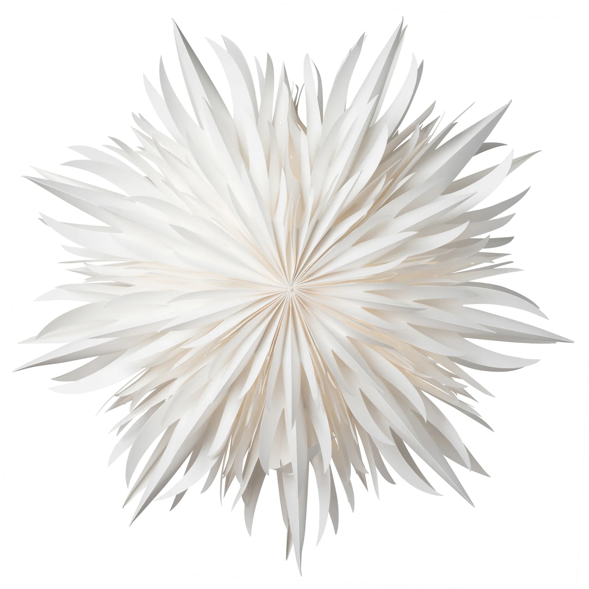 Watt & Veke Étoile de Noël Eldig Ø Blanc