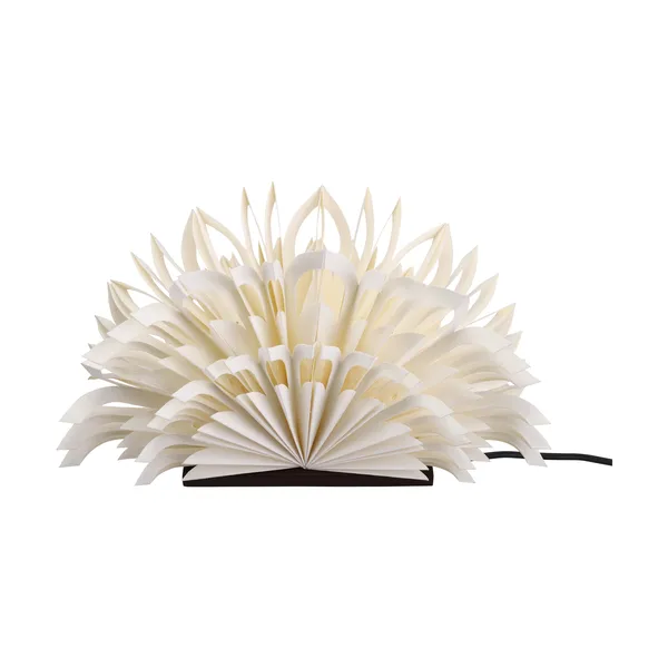 Mezza Clara bordsstjärna, White-coffee