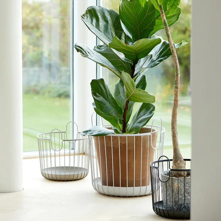 Zone Inu basket from Zone Denmark - NordicNest.com
